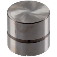 Valve Lifter