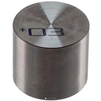 Valve Lifter