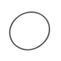 O-ring