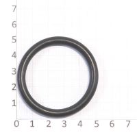 O-ring