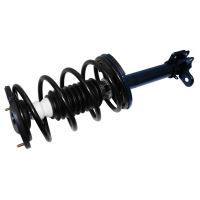 Strut assembly