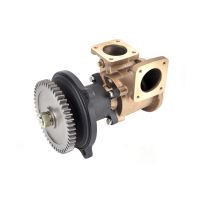 Sjövattenpump