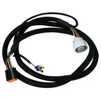 Harness, GM4L60-85E, 93-up (4L70 06-09)