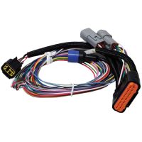Harness