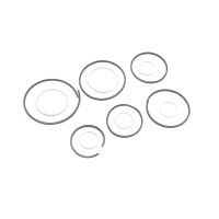 Ringsatz
