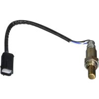 zuurstofsensor