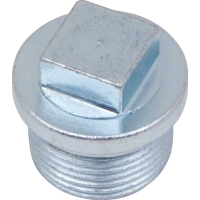 Rear End Differential Fill Plug