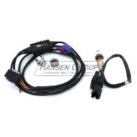 O2 Sensor