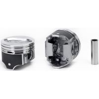 Zuiger set met ringen