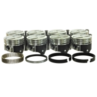 Zuiger set met ringen