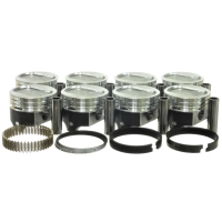 Zuiger set met ringen