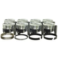Zuiger set met ringen