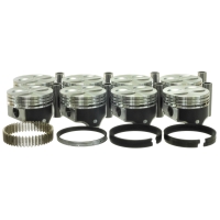 Zuiger set met ringen