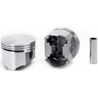 Zuiger set met ringen