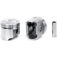 Zuiger set met ringen