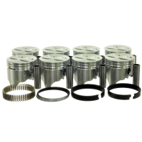 Zuiger set met ringen
