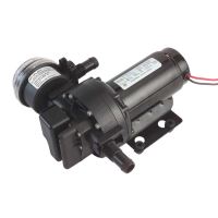 Pentrypump 12V 19l/min 3,5bar