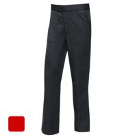 Standard 2 Layer Pant RED Size LARGE SFI-5