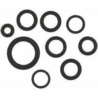 O-ringenset