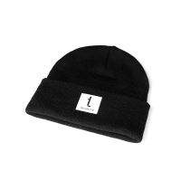 Beanie - tershine logo