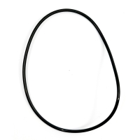 O-ring