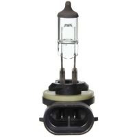 Ampoule