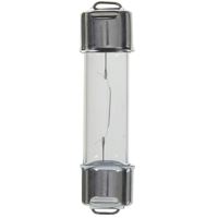 Ampoule