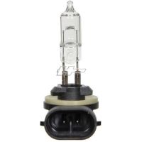 Ampoule
