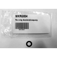 Pakking Acceleratiepomp