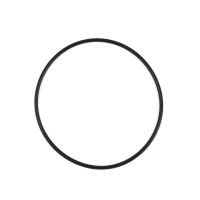 O-Ring Pumphus